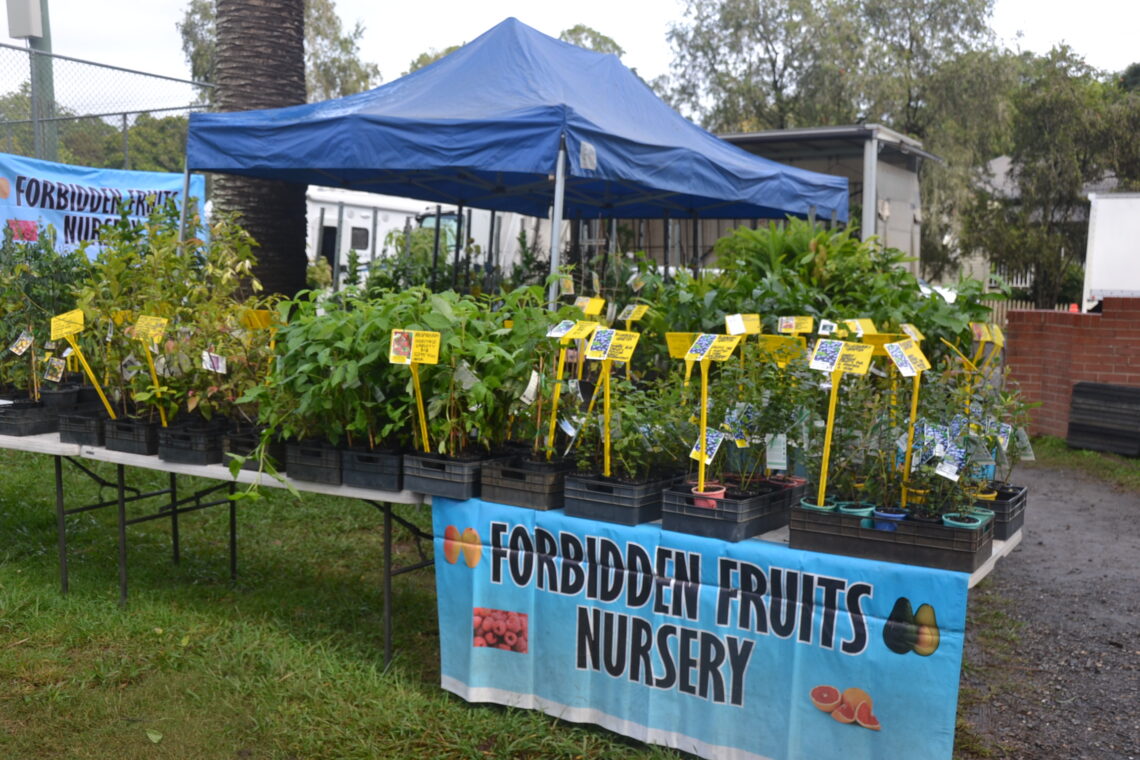 Forbidden Fruits Nursery