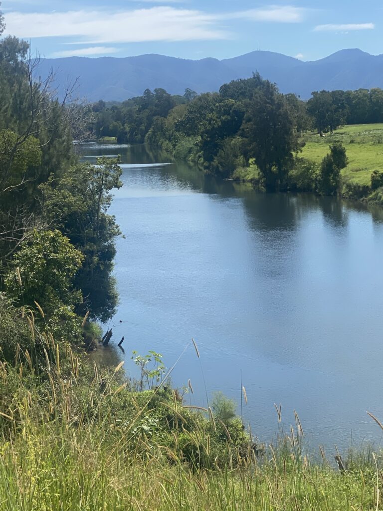 Bellingen River